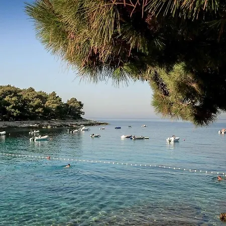 Easyatent Cikat خيمة فخمة *