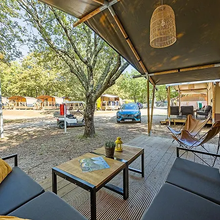 Easyatent Cikat * マリ・ロシニュ