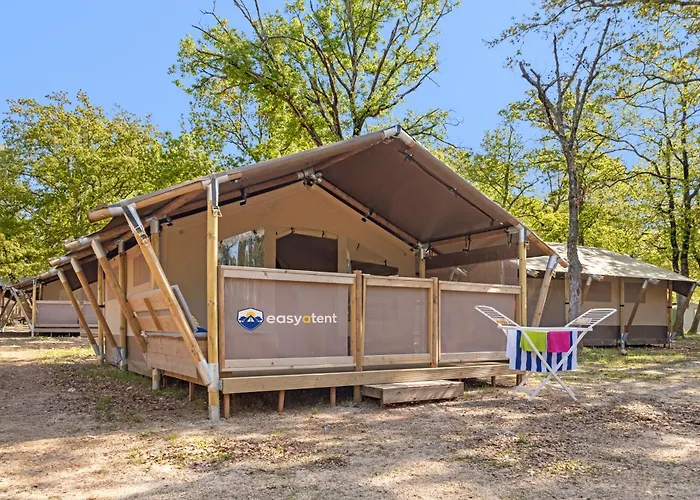 Easyatent Cikat * マリ・ロシニュ