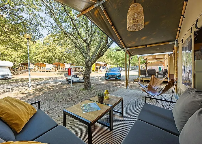 Easyatent Cikat * マリ・ロシニュ