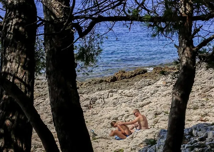 Luksustelt Easyatent Cikat